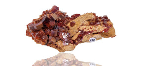 Vanadinite on Limestone (Cabinet Size)