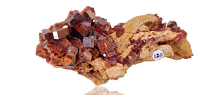 Vanadinite on Limestone (Cabinet Size)