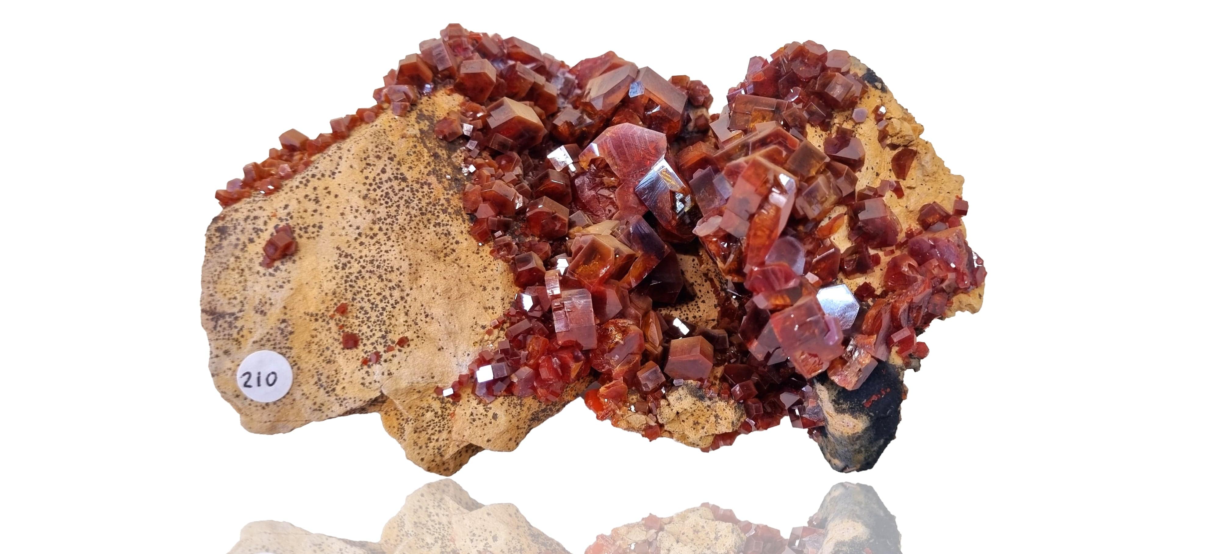 Vanadinite crystal cluster on Limestone (Large Cabinet Size)