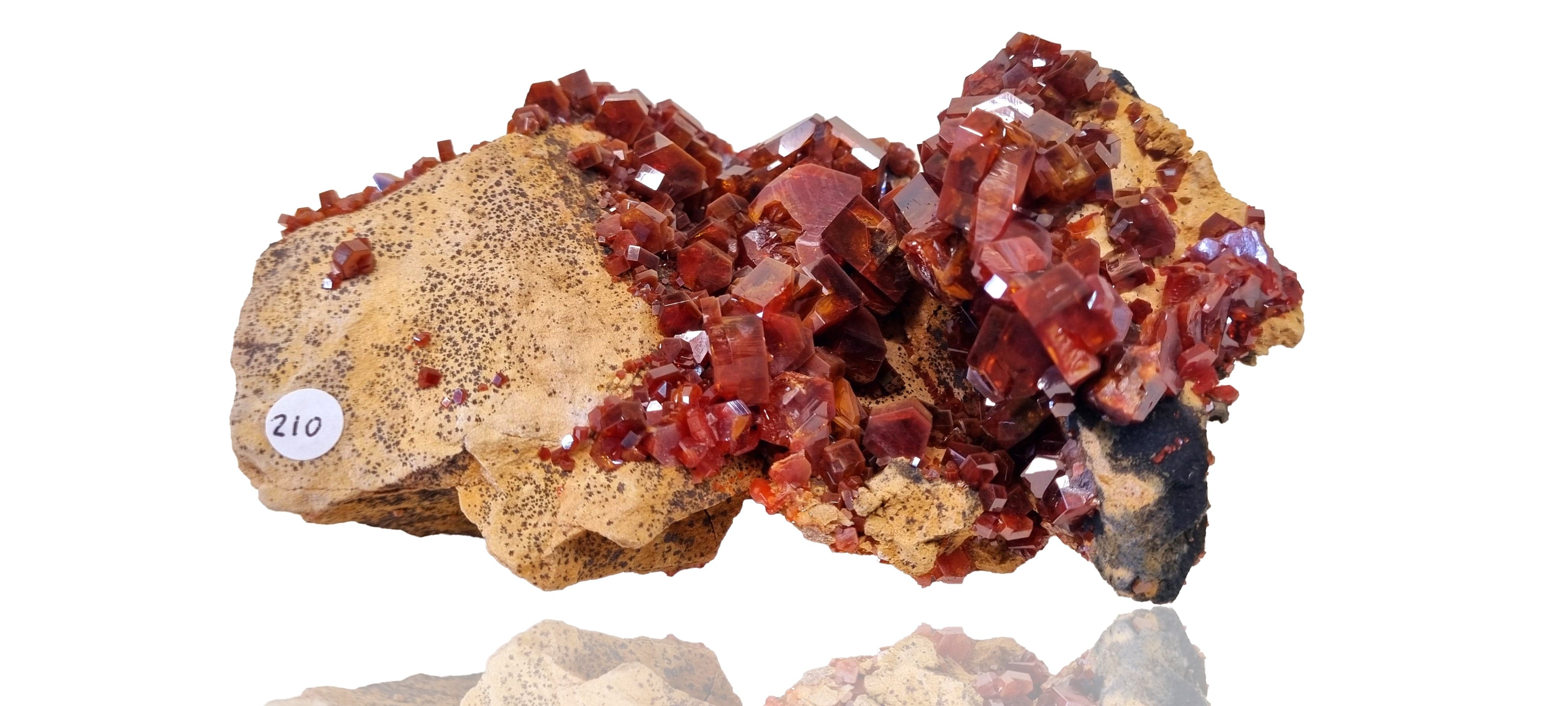 Vanadinite crystal cluster on Limestone (Large Cabinet Size)