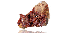 Vanadinite crystal cluster on Limestone (Large Cabinet Size)