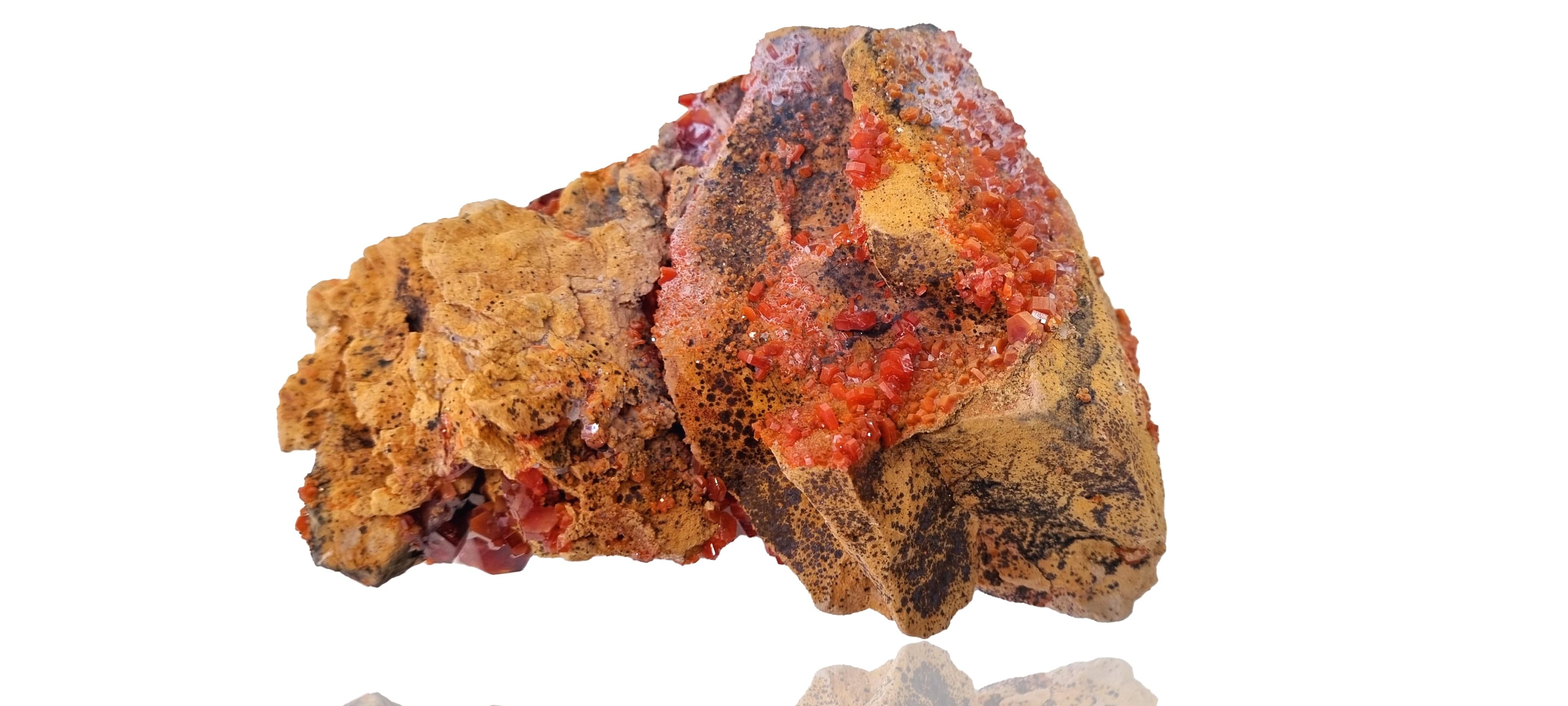 Vanadinite crystal cluster on Limestone (Large Cabinet Size)