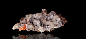 Cerussite & Baryte on a Limestone matrix(Small cabinet size)