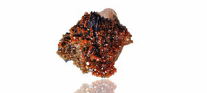 Vanadinite on Baryte with Goethite oxides