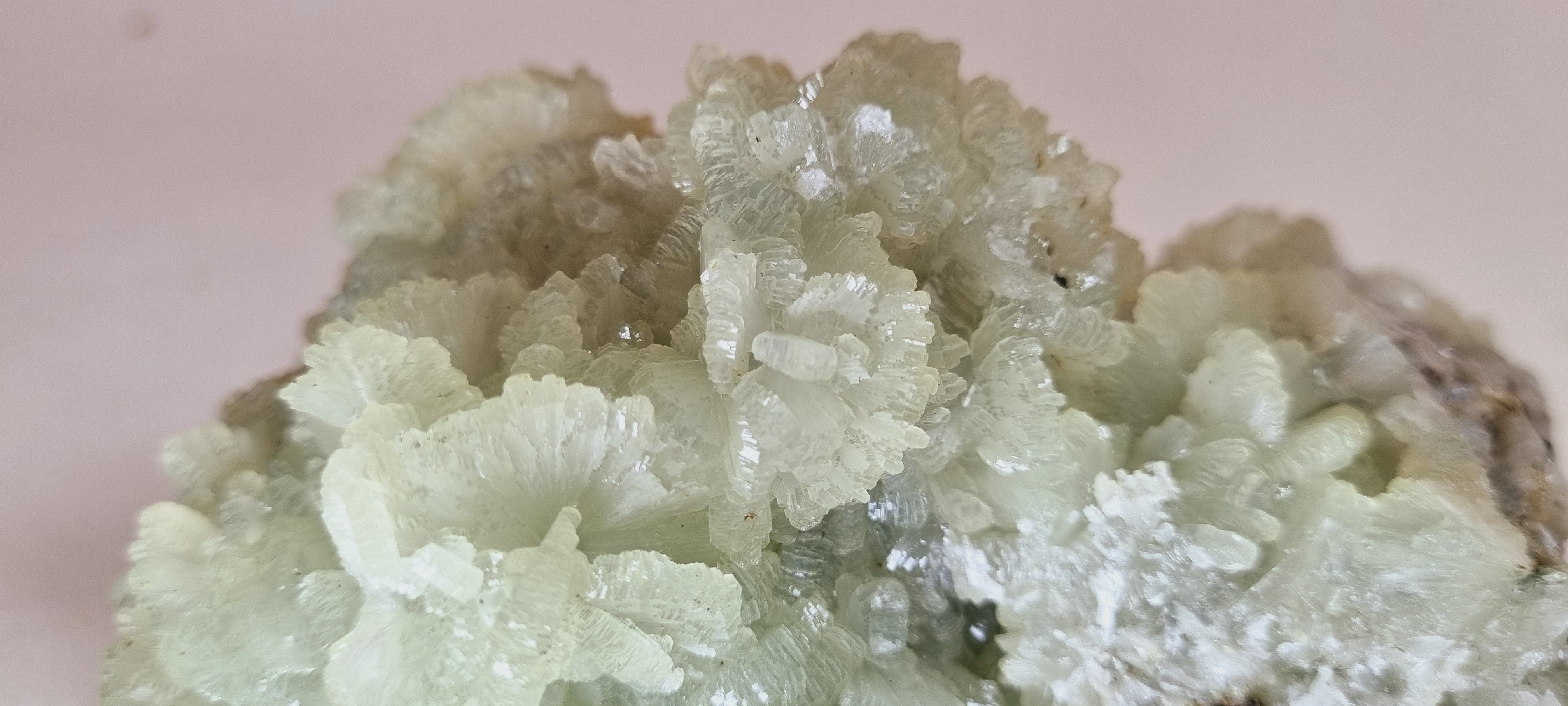 Prehnite on quartz (Large Cabinet Size)