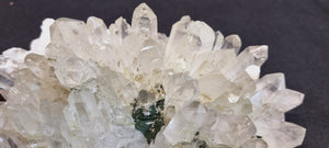 Clear Chlorite Quartz with Pyrite ( large cabinet size)