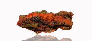 Conichalcite (small cabinet size)