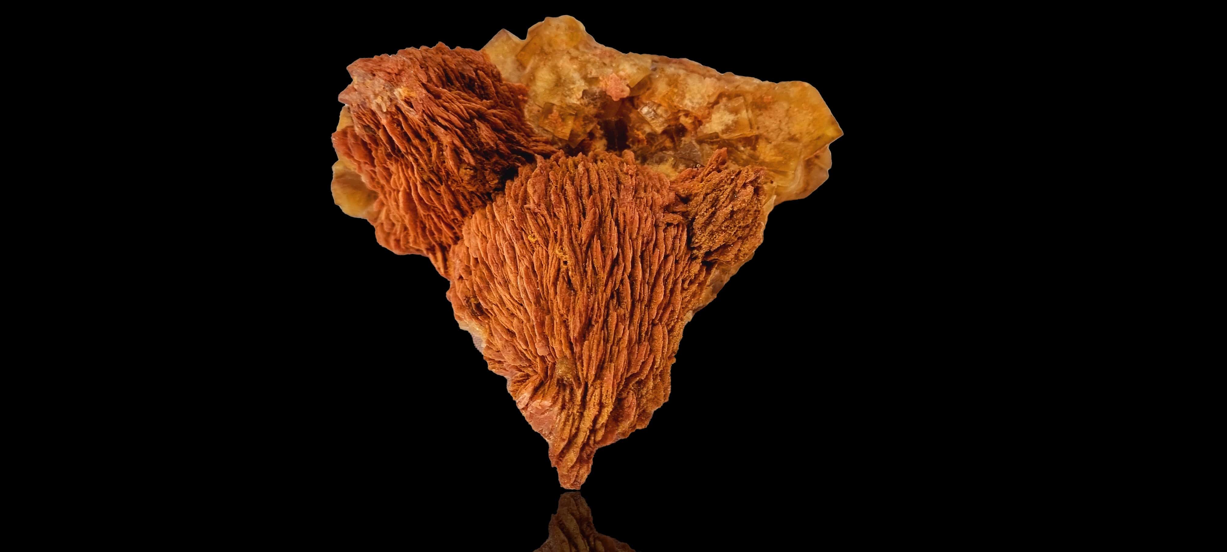 Yellow Fluorite with Cockscomb Baryte (cabinet size)