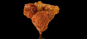 Yellow Fluorite with Cockscomb Baryte (cabinet size)
