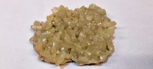 Prehnite Cluster (small Cabinet Size)