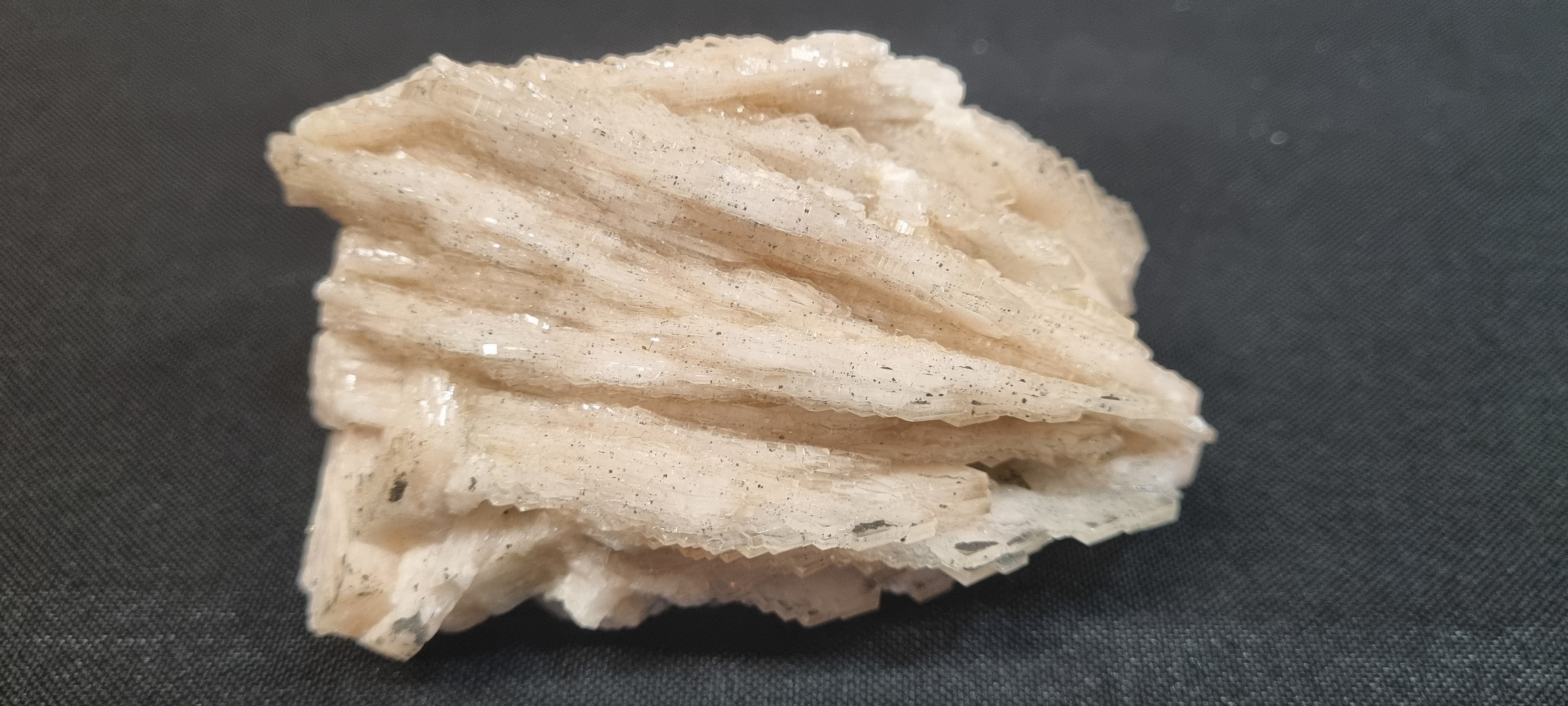 Lustrous bladed White Baryte / Barite ( cabinet size Specimen)