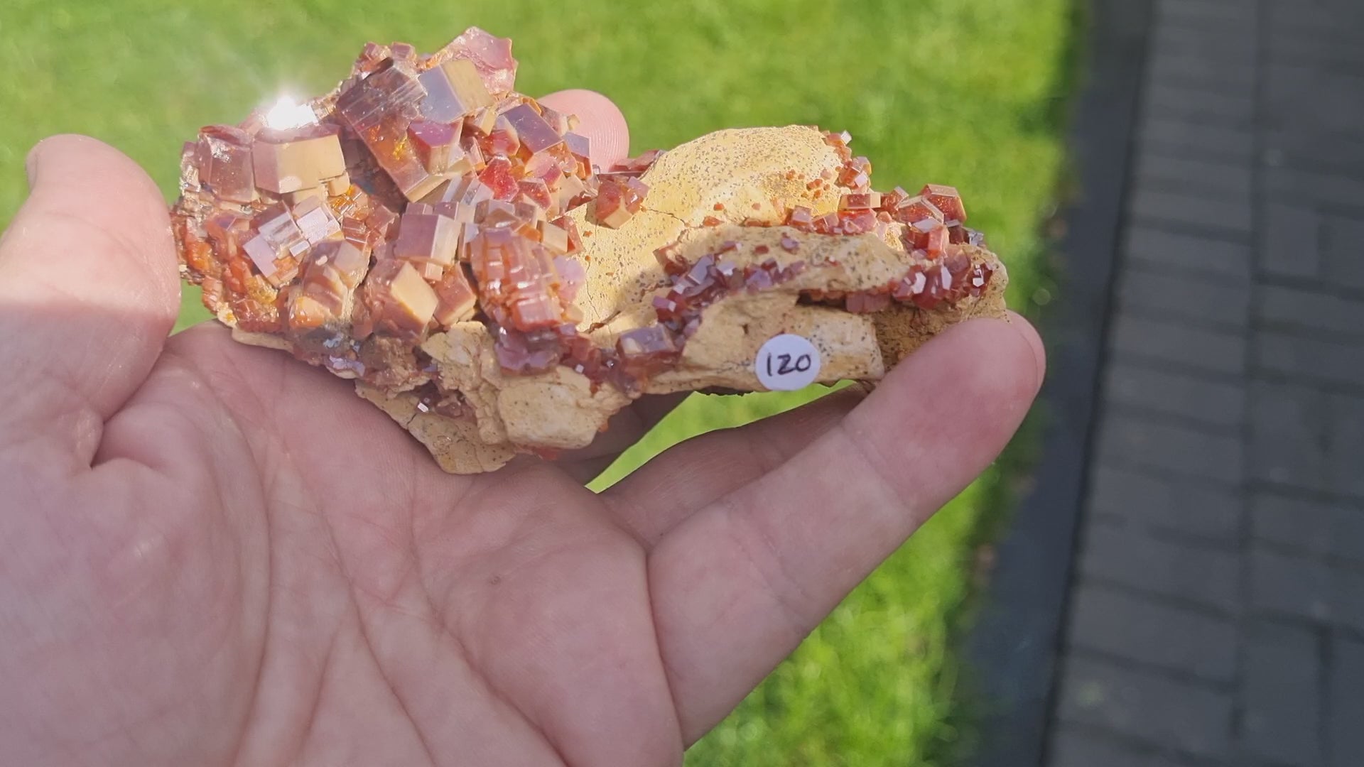 Vanadinite on Limestone (Cabinet Size)