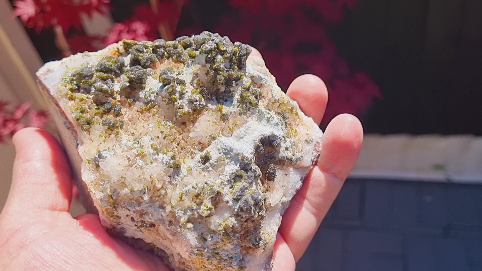 Epidote fans on Quartz with Actinolite (Large Cabinet Size, mineral specimen)