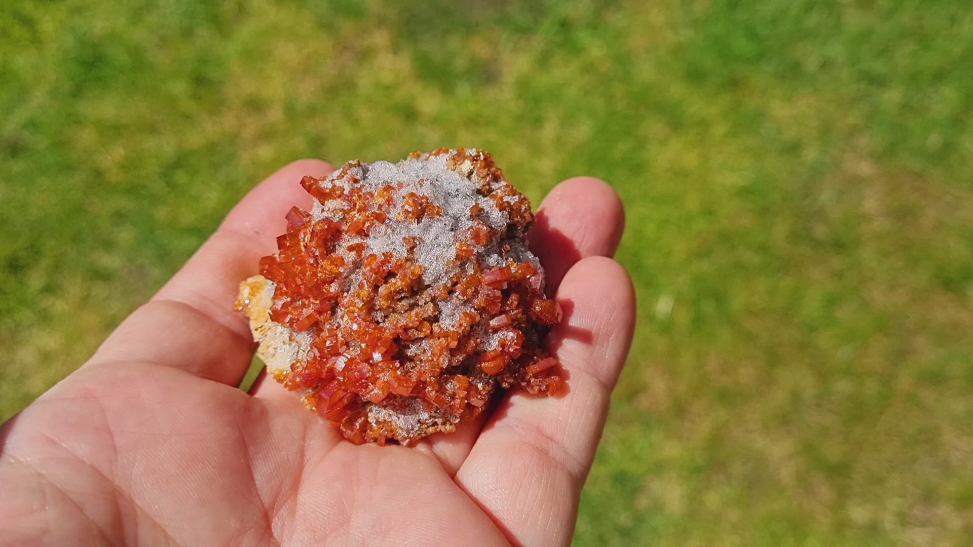 Vanadinite on Baryte with Quartz Druzy ( Small Cabinet Size)