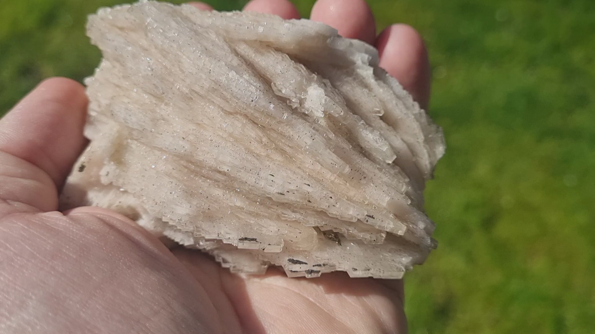 Lustrous bladed White Baryte / Barite ( cabinet size Specimen)