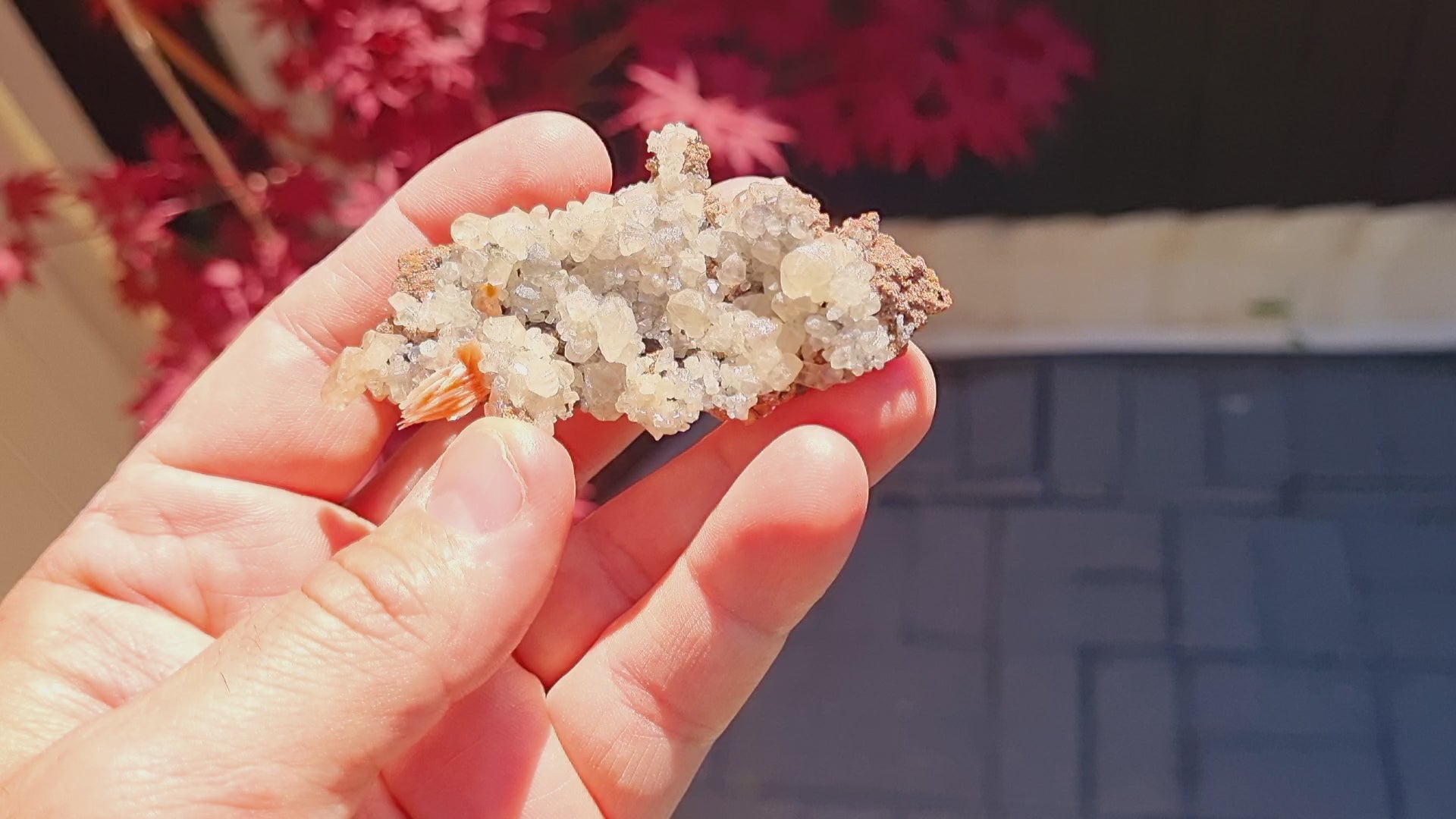 Cerussite & Baryte on a Limestone matrix(Small cabinet size)