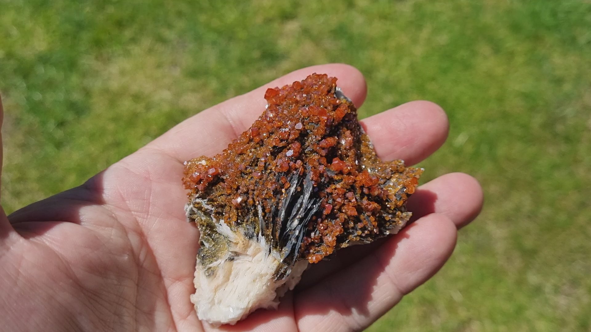 Vanadinite on Baryte with Goethite oxides