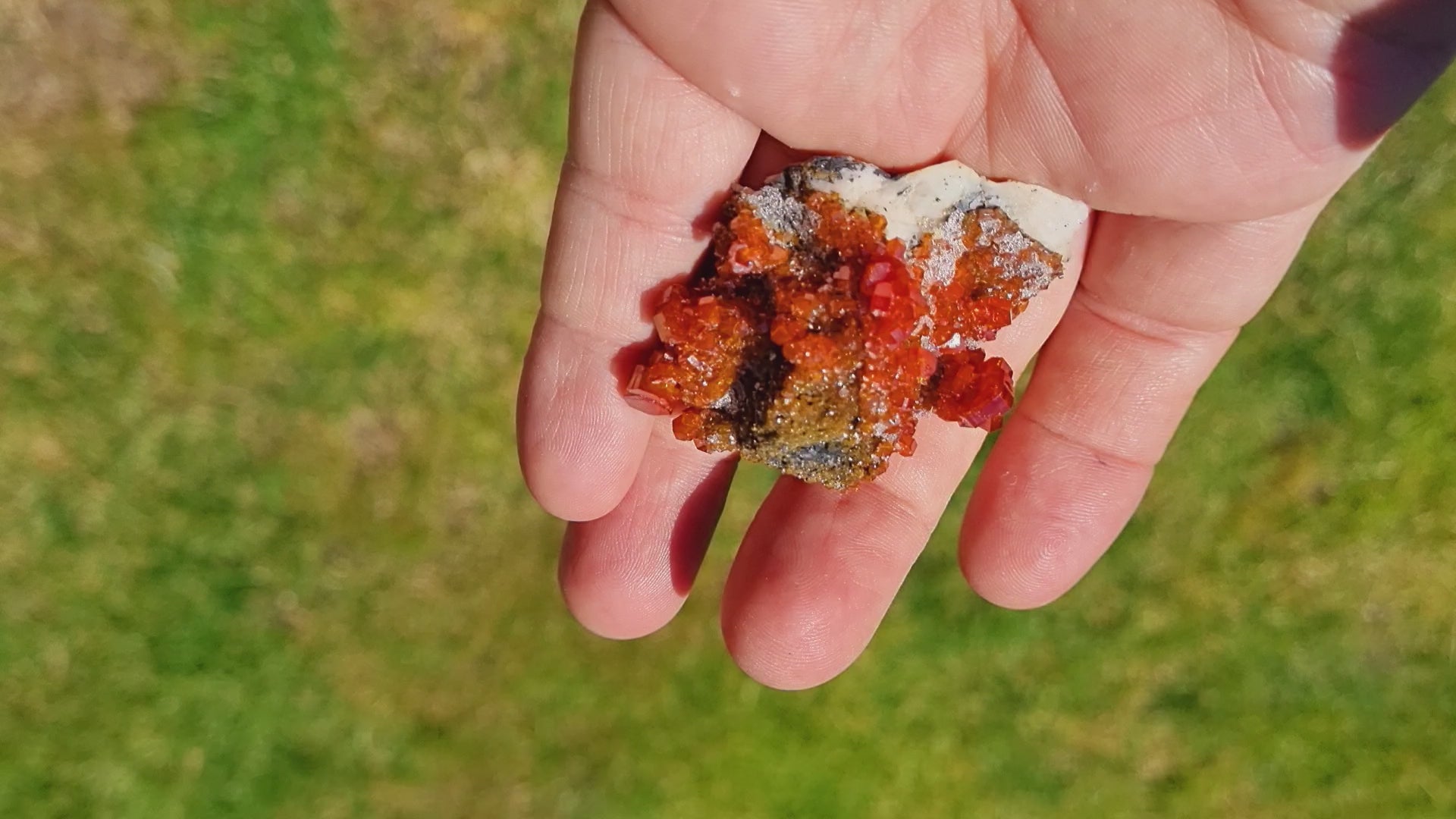 Vanadinite on Baryte with Quartz Druzy (Small Cabinet Size)