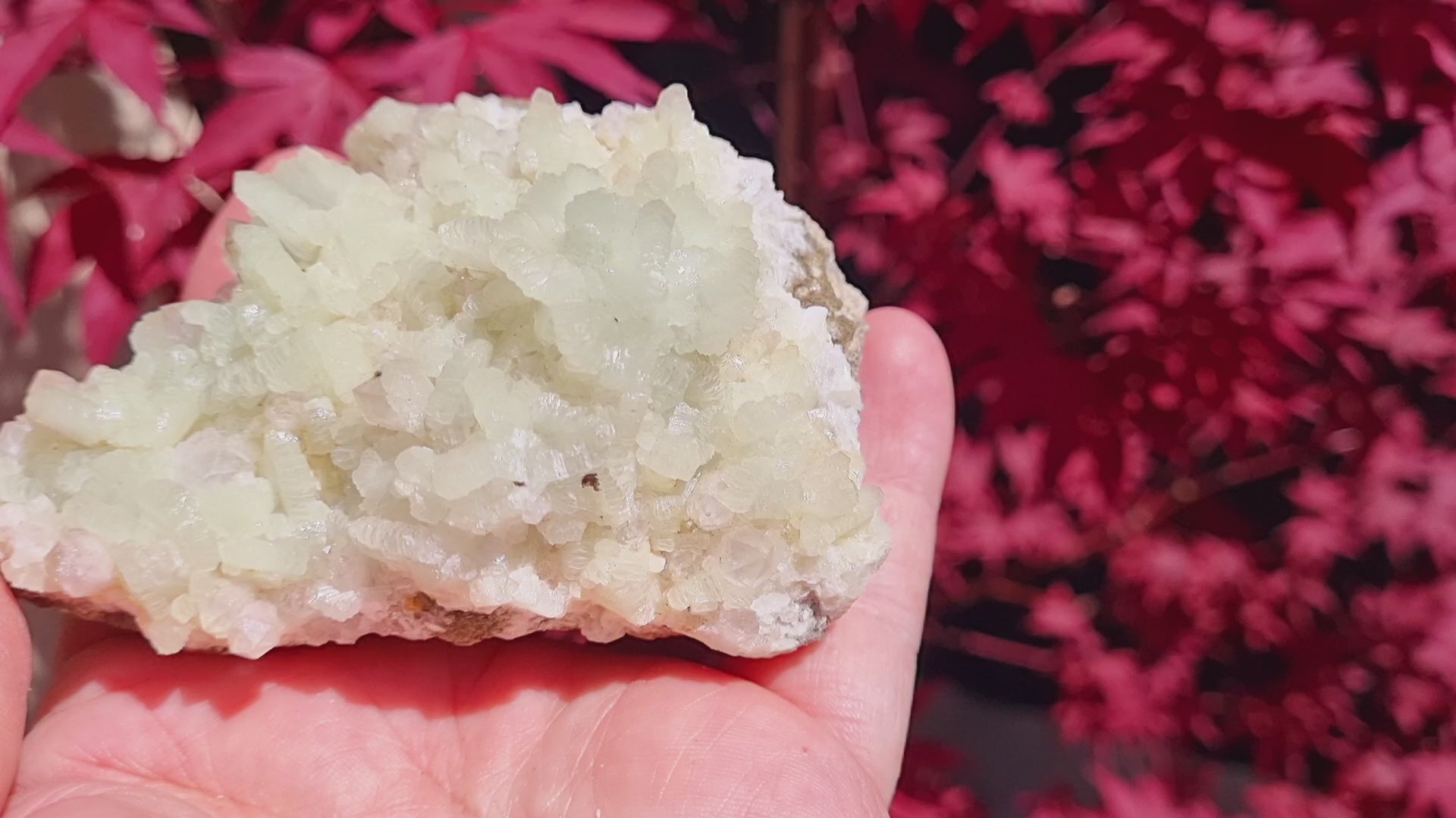 Prehnite on quartz (Cabinet Size)