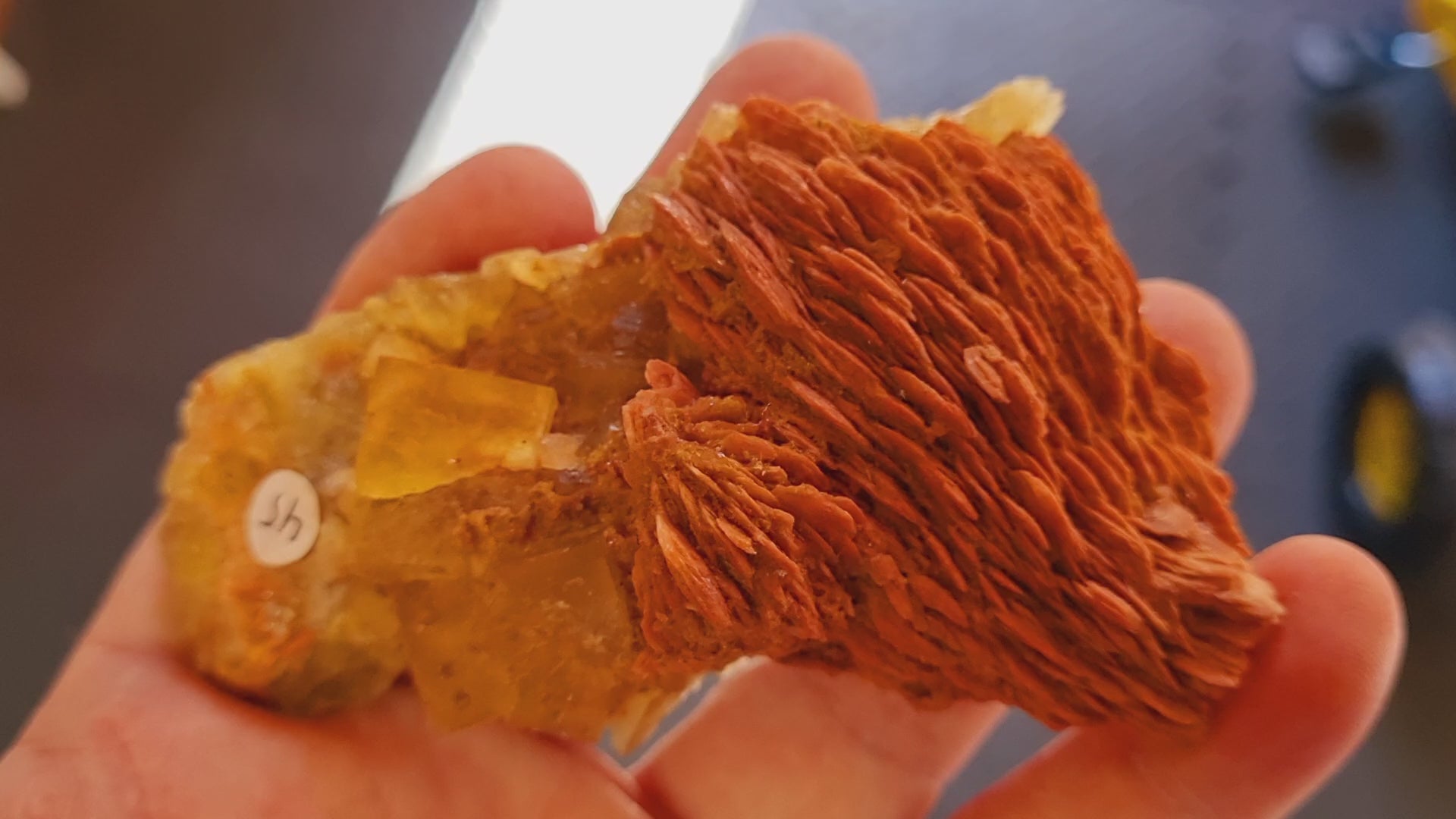 Yellow Fluorite with Cockscomb Baryte (small cabinet size)
