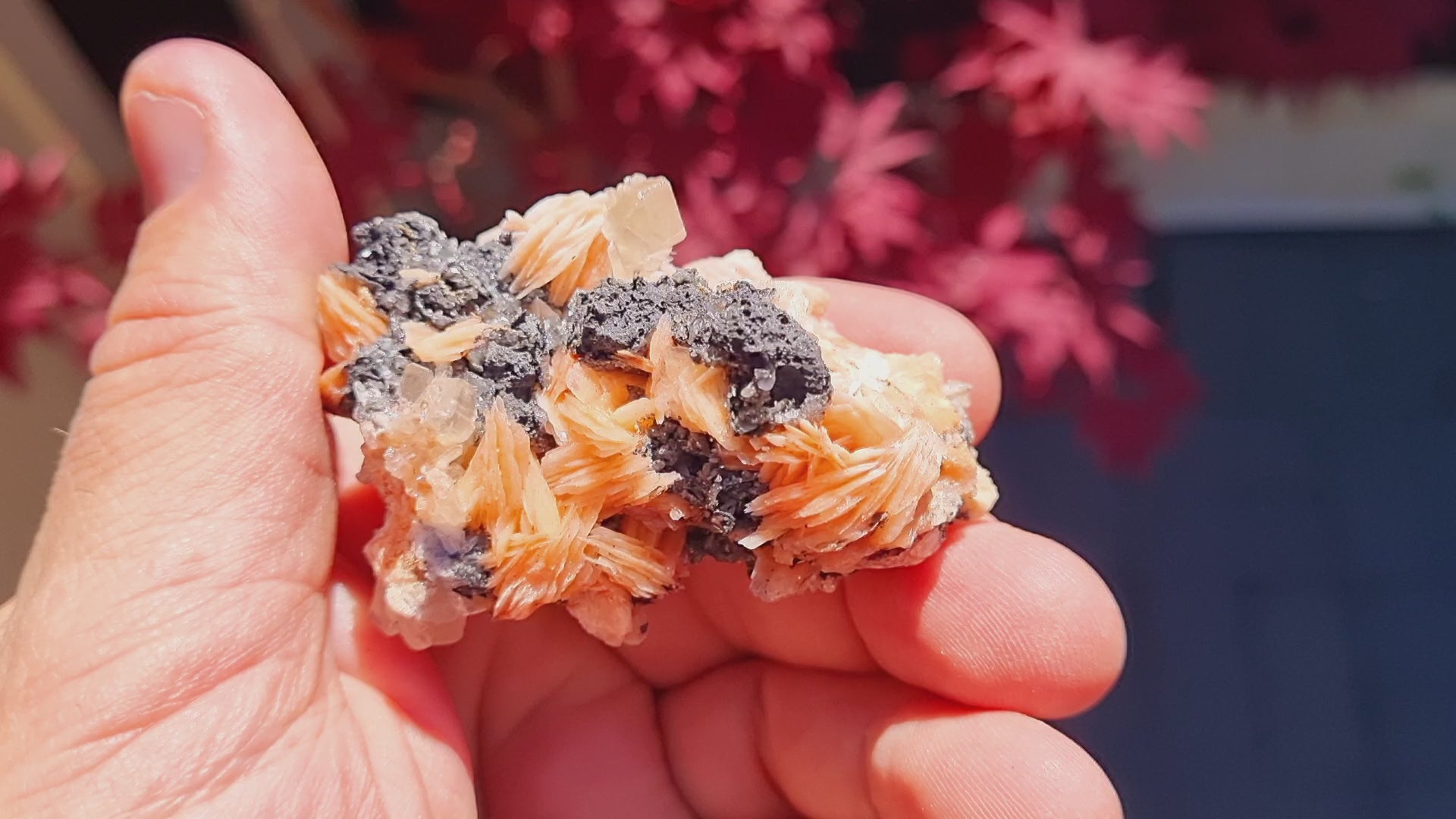 Cerussite & Galena on Baryte on a (Small cabinet size)