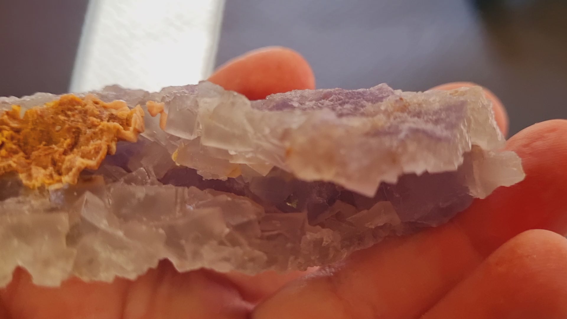 Blue Fluorite (small cabinet size)