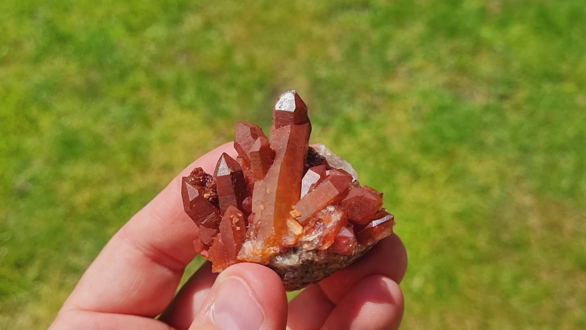 Red Quartz var. Ferruginous Quartz Crystal Cluster ( Small Cabinet Size)