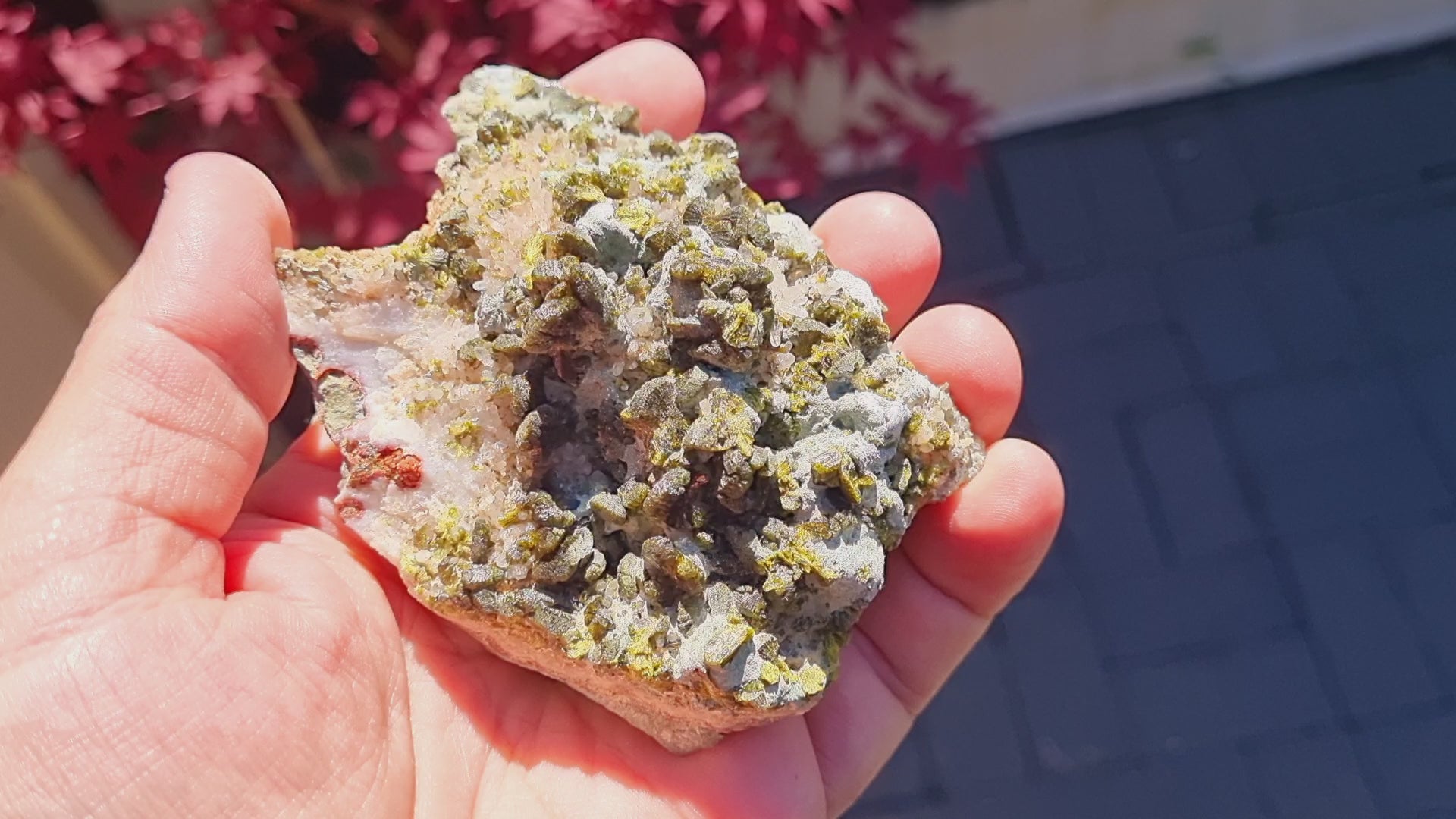 Epidote fans on Quartz with Actinolite (Cabinet Size, mineral specimen)