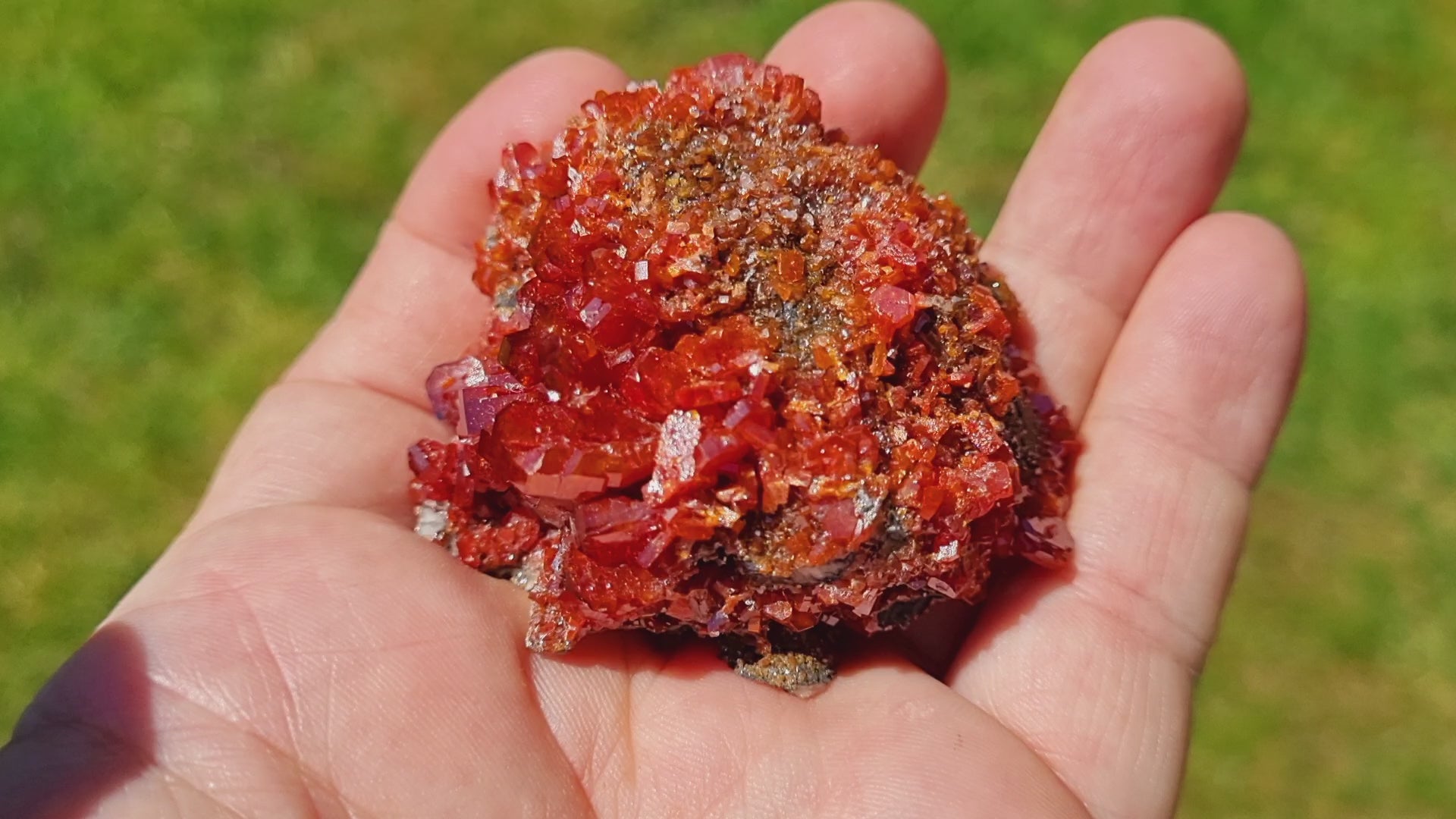 Vanadinite on Baryte  (Small Cabinet Size)