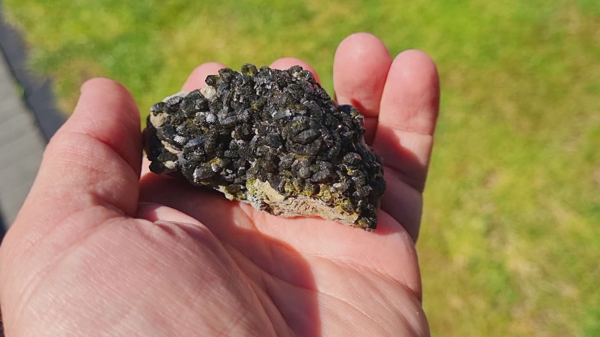 Epidote fans on Actinolite (Small Cabinet Size, mineral specimen)