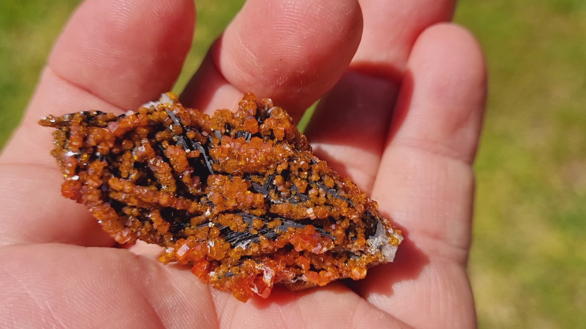 Vanadinite on Baryte with Goethite (Small Cabinet Size)