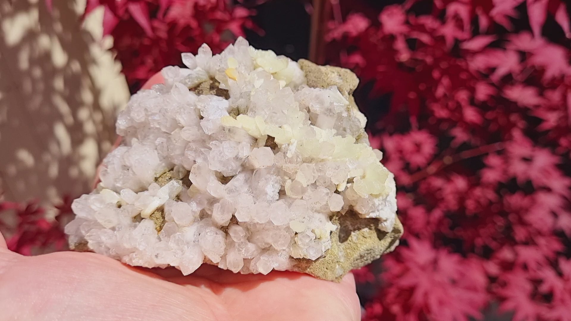 Prehnite on quartz (Cabinet Size)