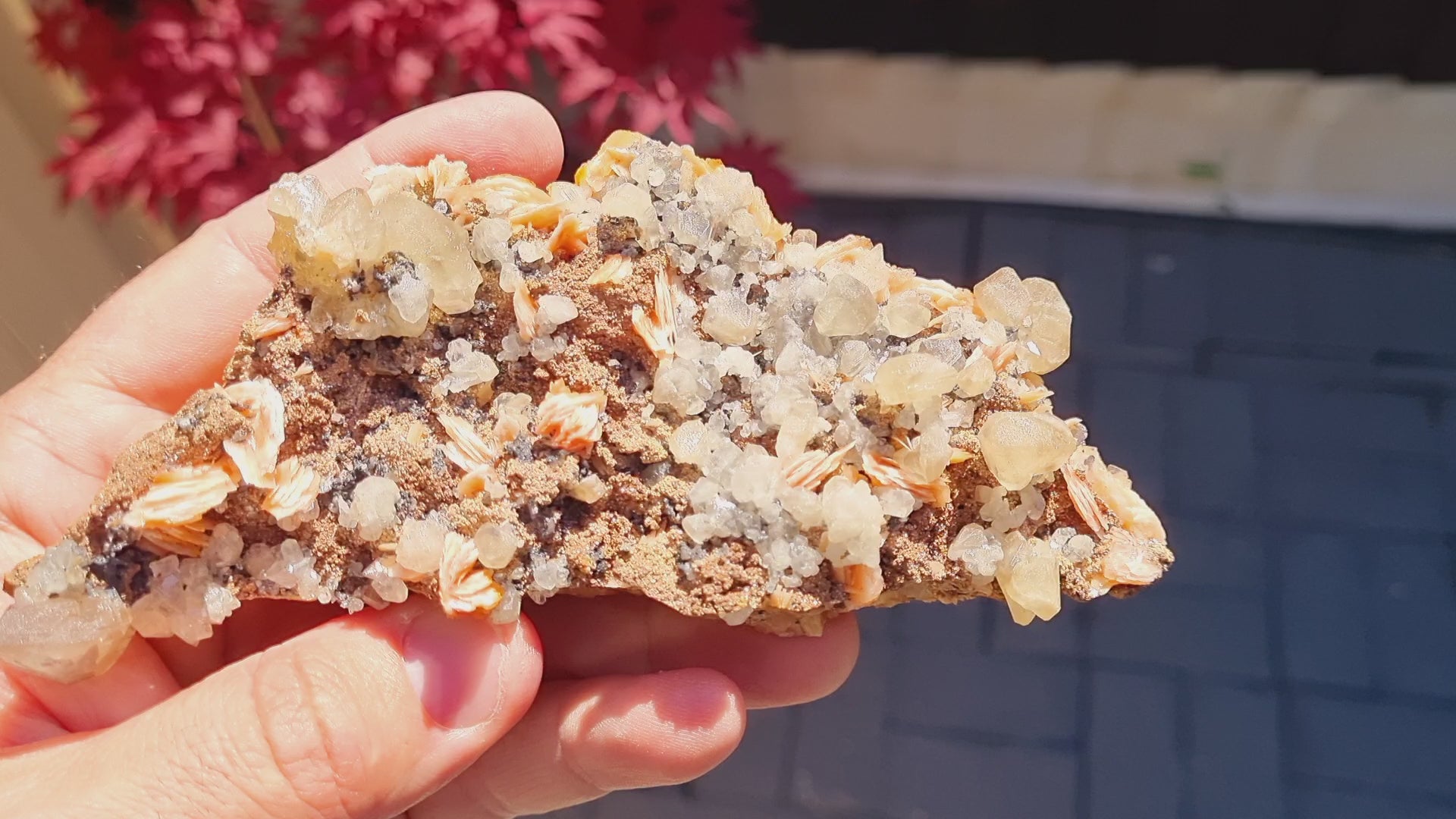 Baryte on Cerussite on a Limestone matrix(large cabinet size)