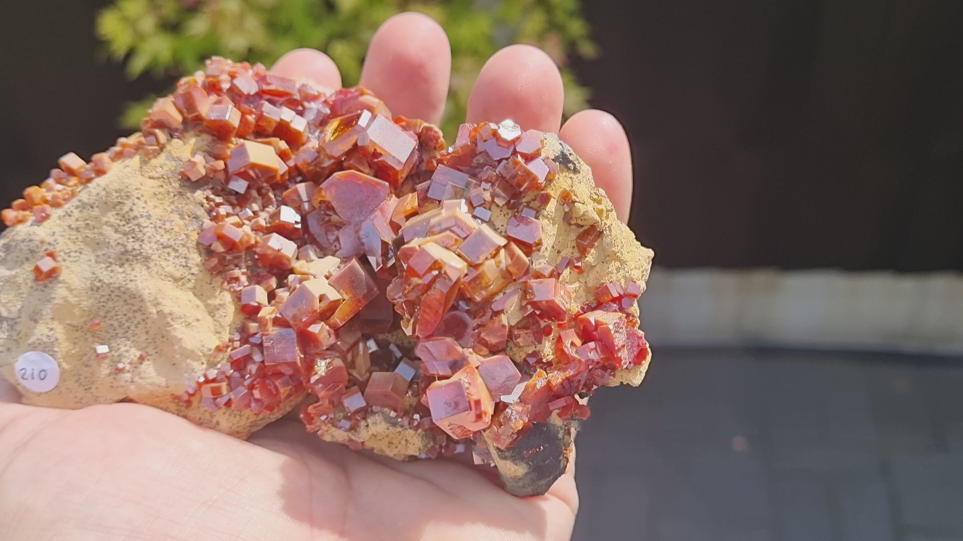 Vanadinite crystal cluster on Limestone (Large Cabinet Size)