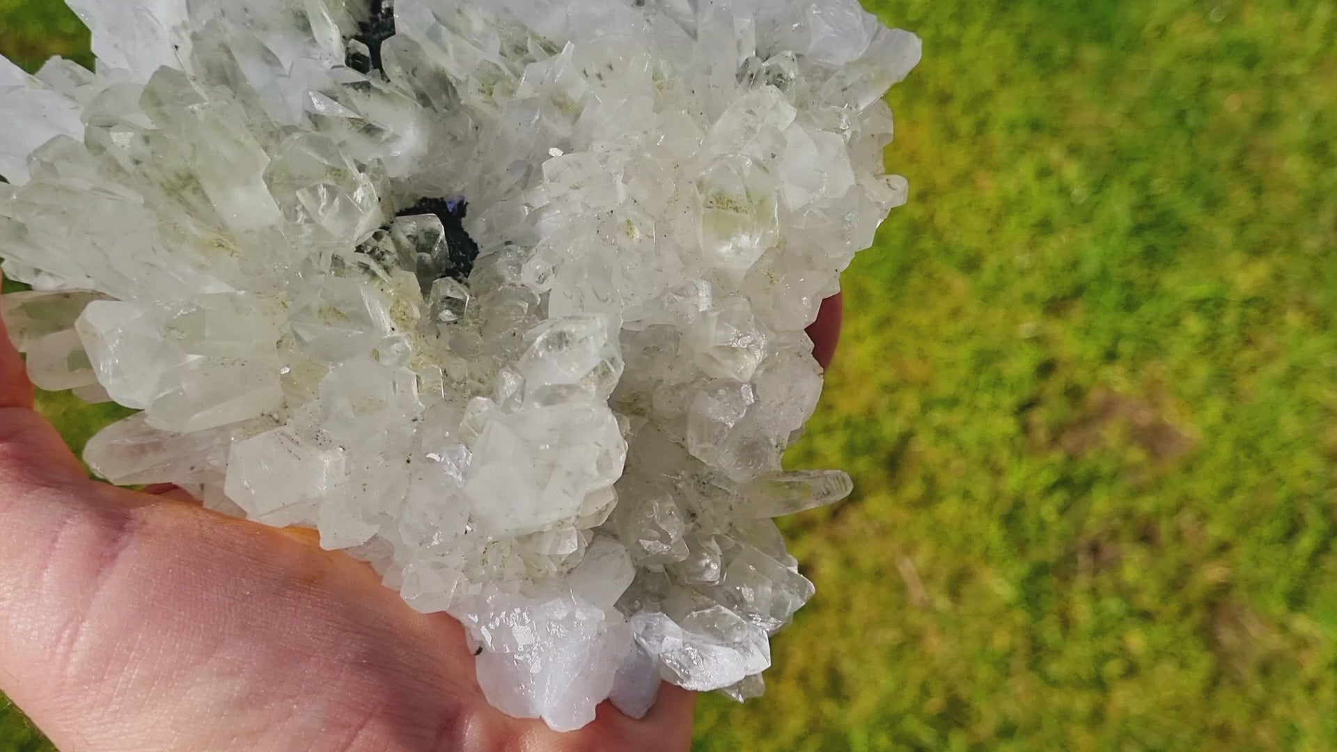 Clear Chlorite Quartz with Pyrite ( large cabinet size)