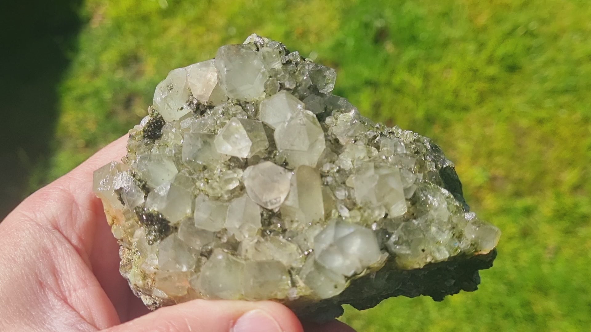Epidote Quartz. (Forest Quartz)