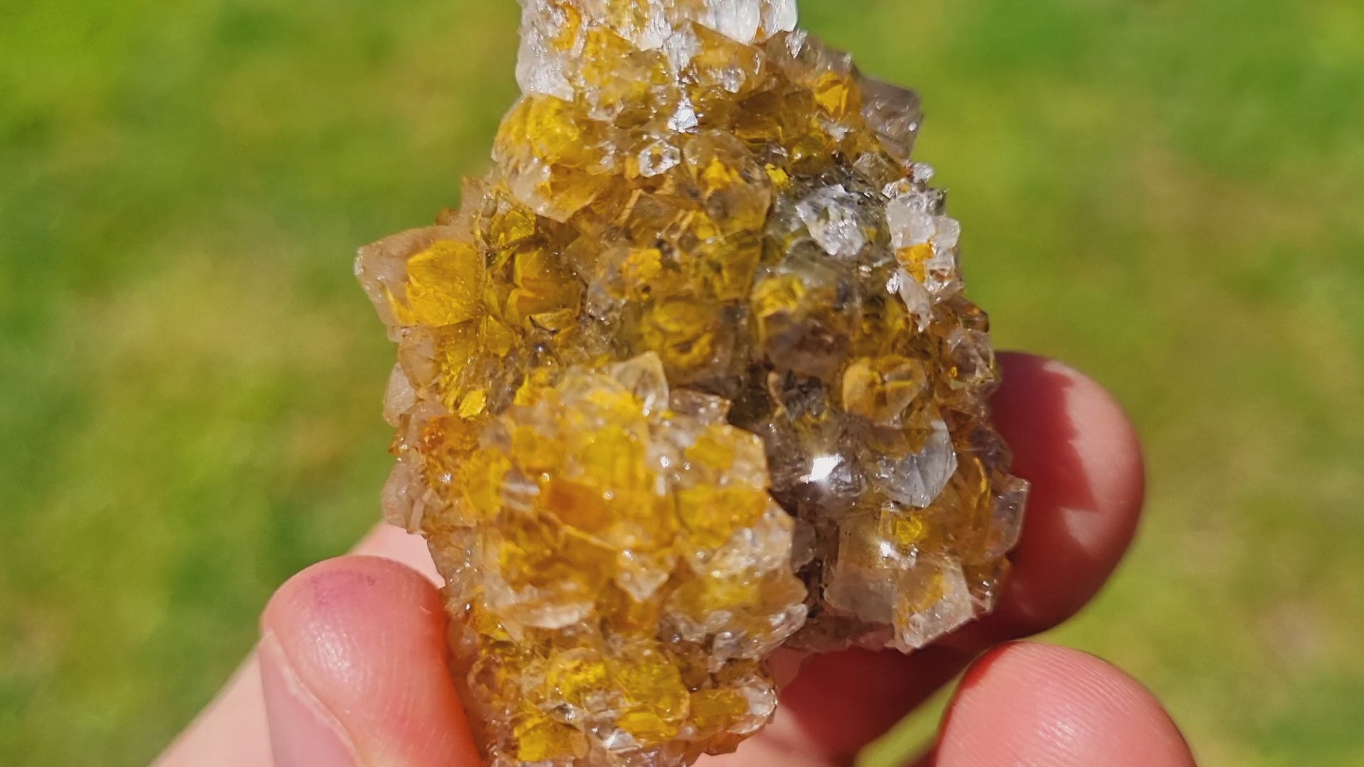 Manganese & Limonite Quartz (Golden Healer)