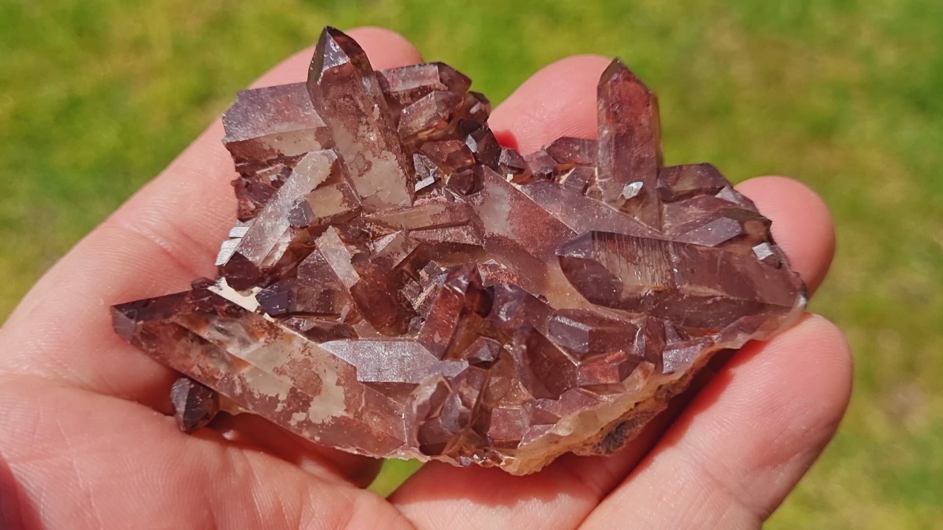 Red Quartz var. Ferruginous Quartz Crystal Cluster ( Cabinet Size)