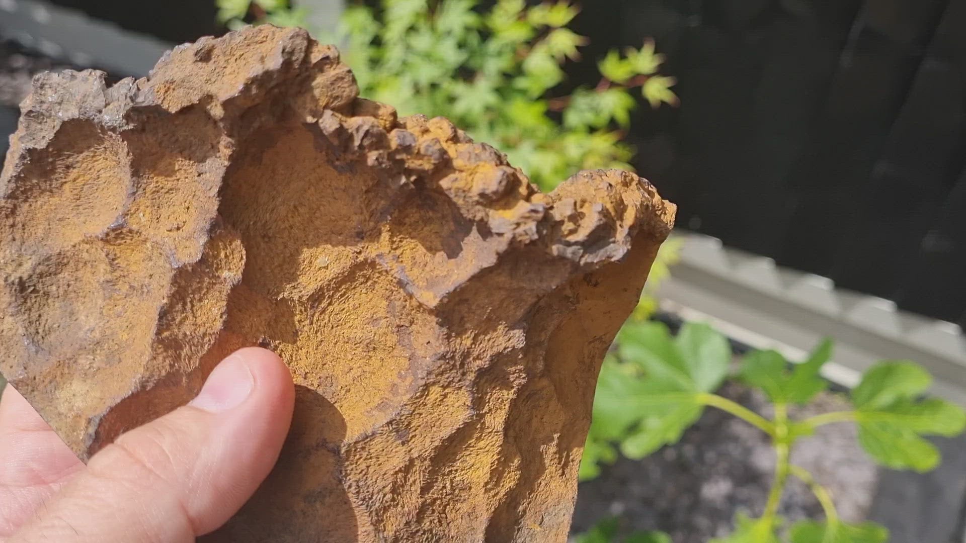 Goethite, and Limonite Pseudomorph after Marcasite.